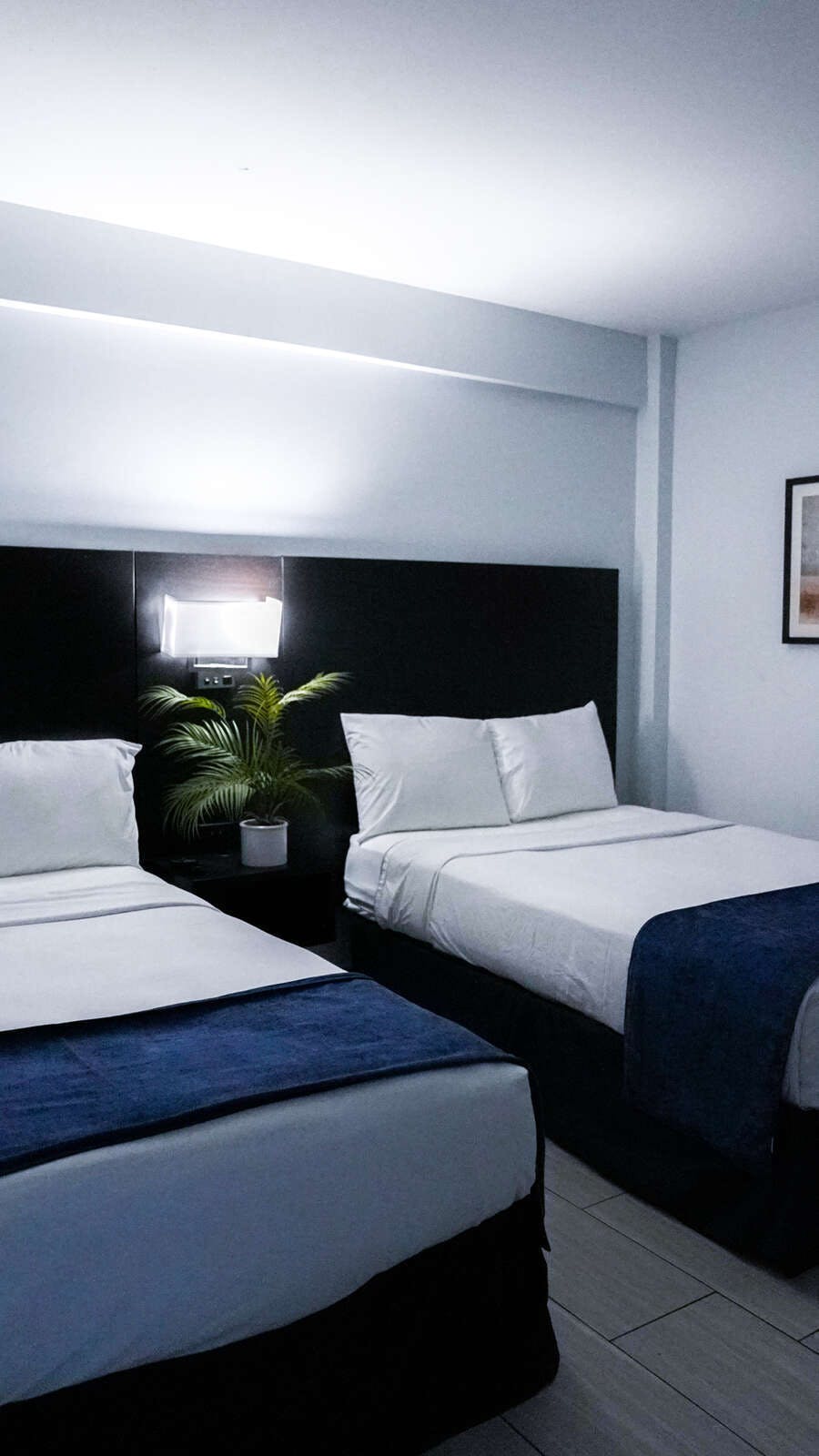 Hotel Sun and Sand Oceanfront Suites photo 2