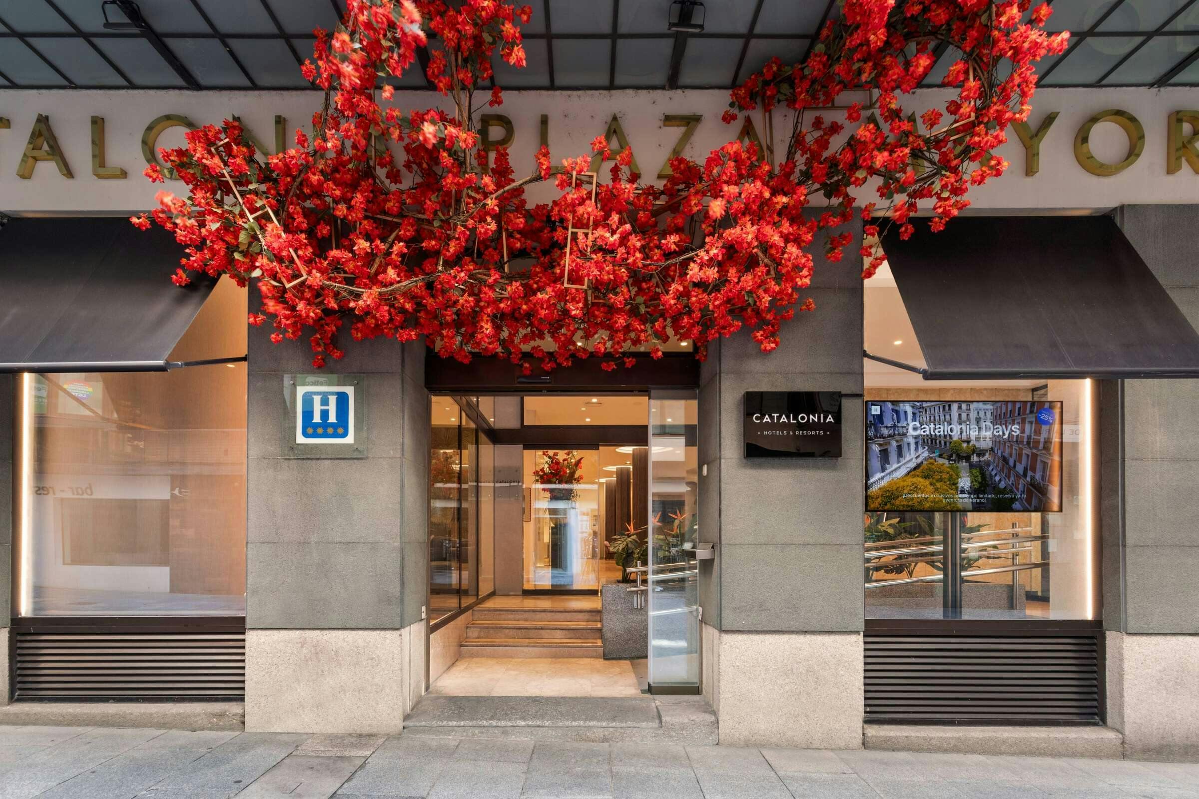 Catalonia Plaza Mayor Salamanca