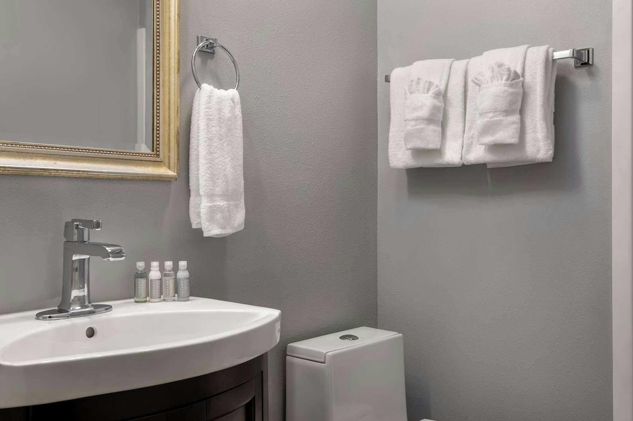 Hotel French Quarter Courtyard Hotel and Suites photo 2