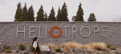 Heliotrope Hotel