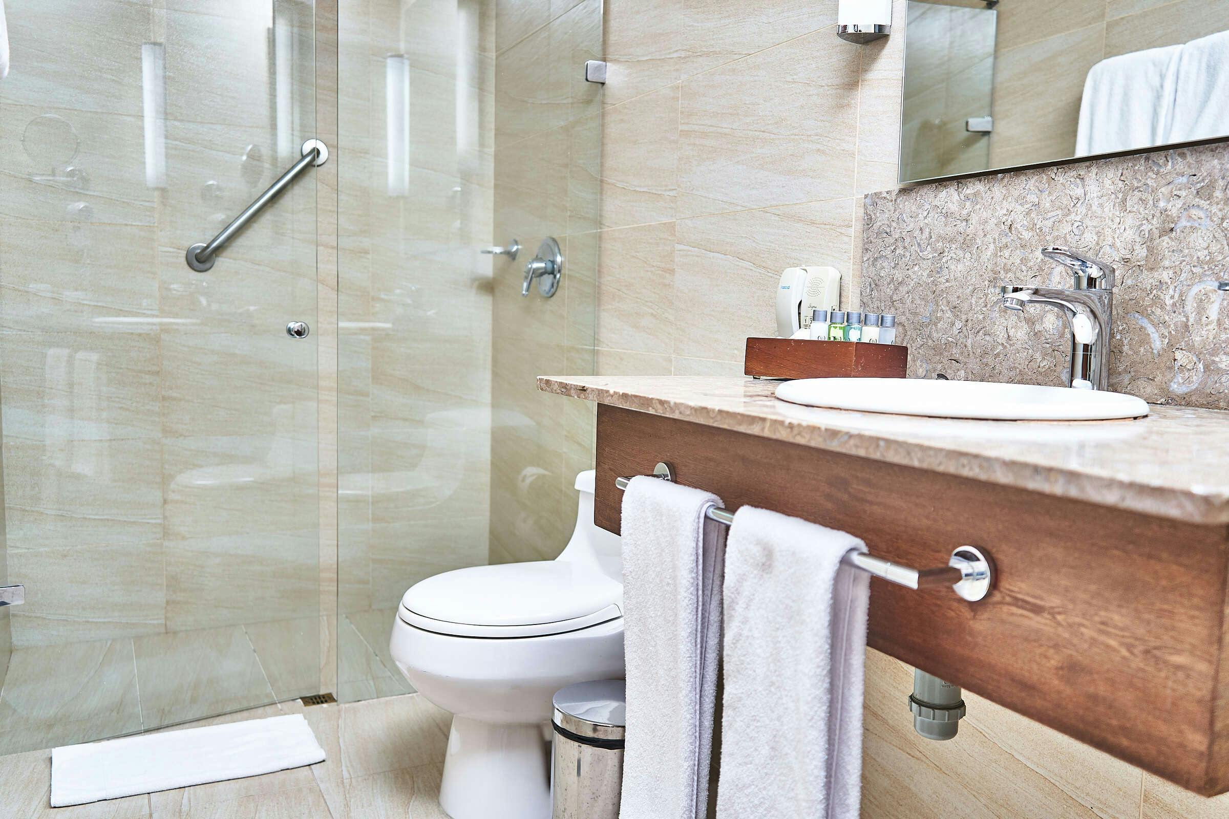 Hotel Hotel Poblado Alejandria photo 5