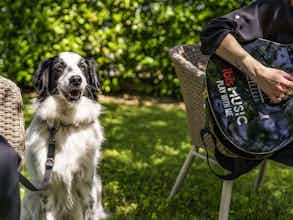 Hotel Ibis Firenze Prato Est photo 2
