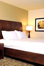 Hotel Hilton Garden Inn East/Brandon photo 3