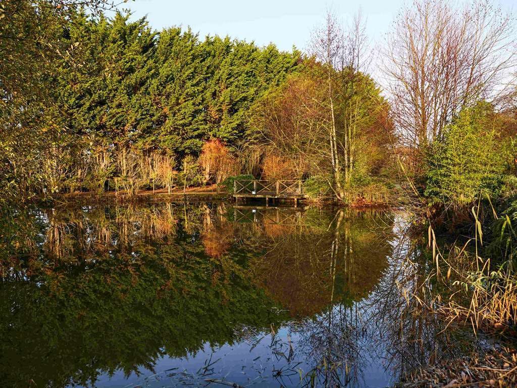 Hotel Mercure Newbury West Grange Hotel photo 3