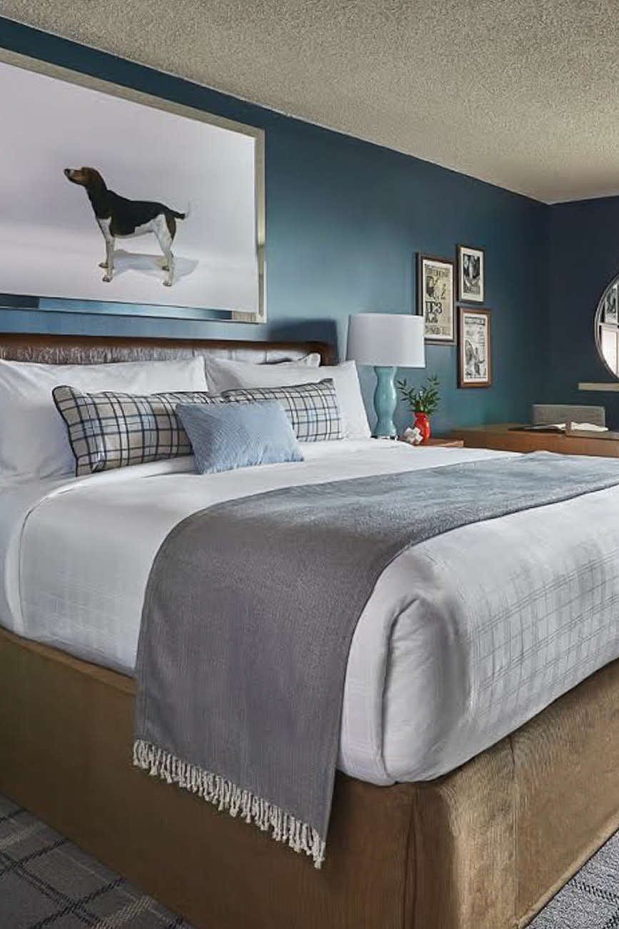 Hotel Graduate by Hilton Richmond photo 4