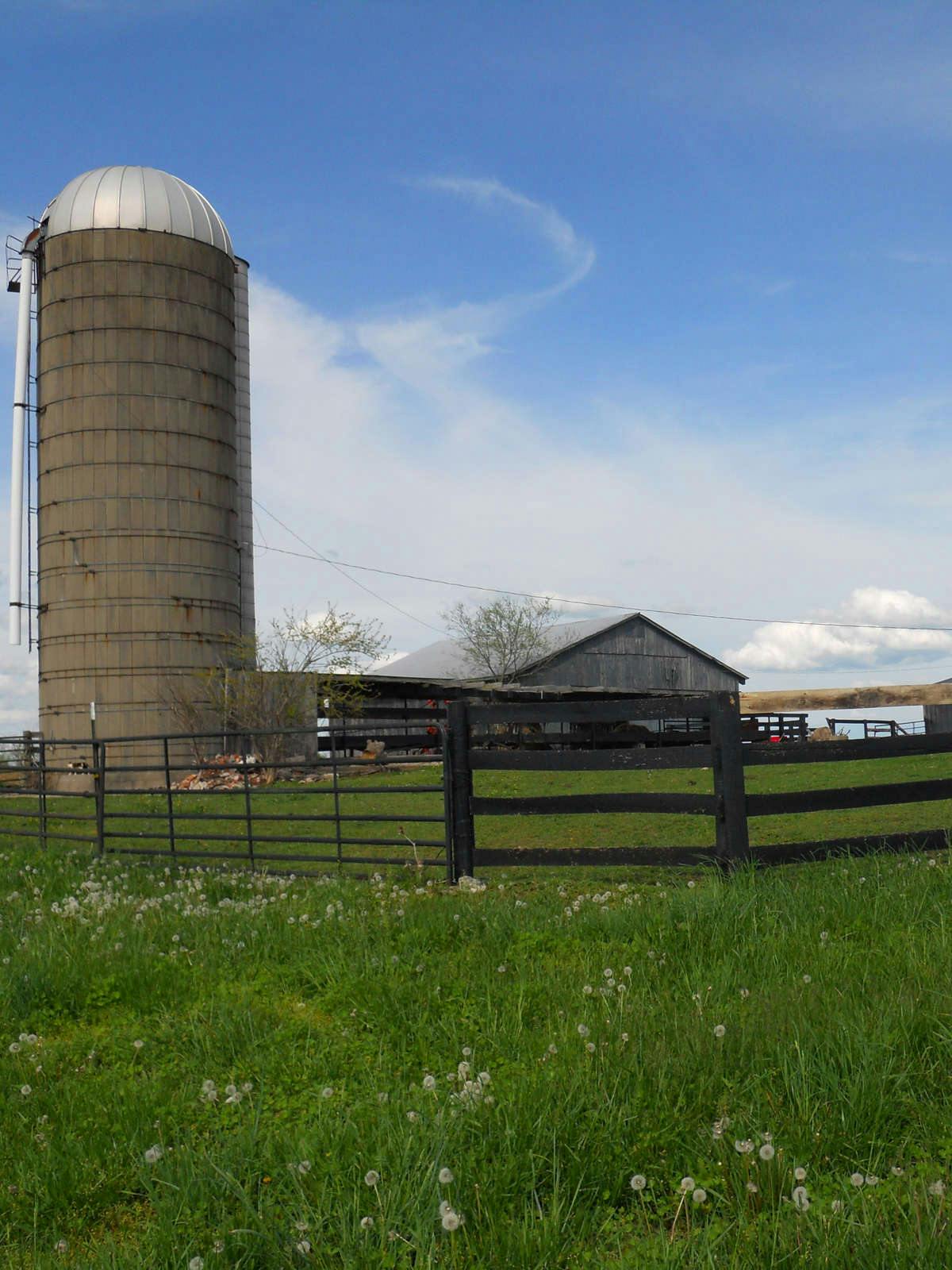 Hotel The Farm Inn photo 5