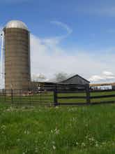 Hotel The Farm Inn photo 5