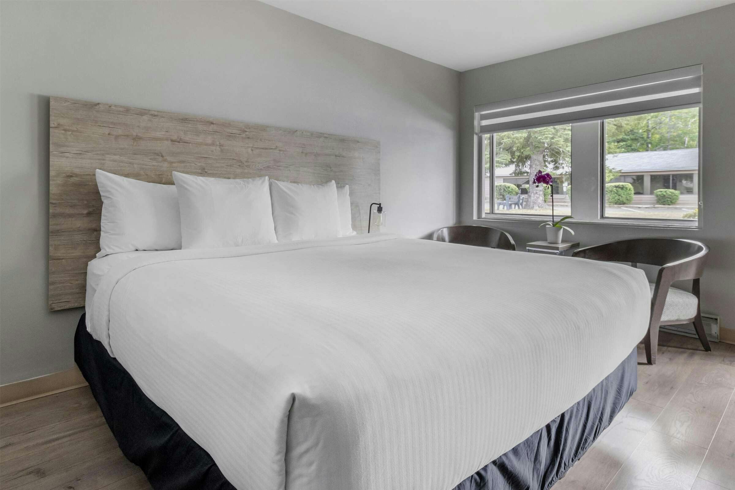 Hotel Dannys Hotel Suites, Sure Stay Collection By Best Western photo 3