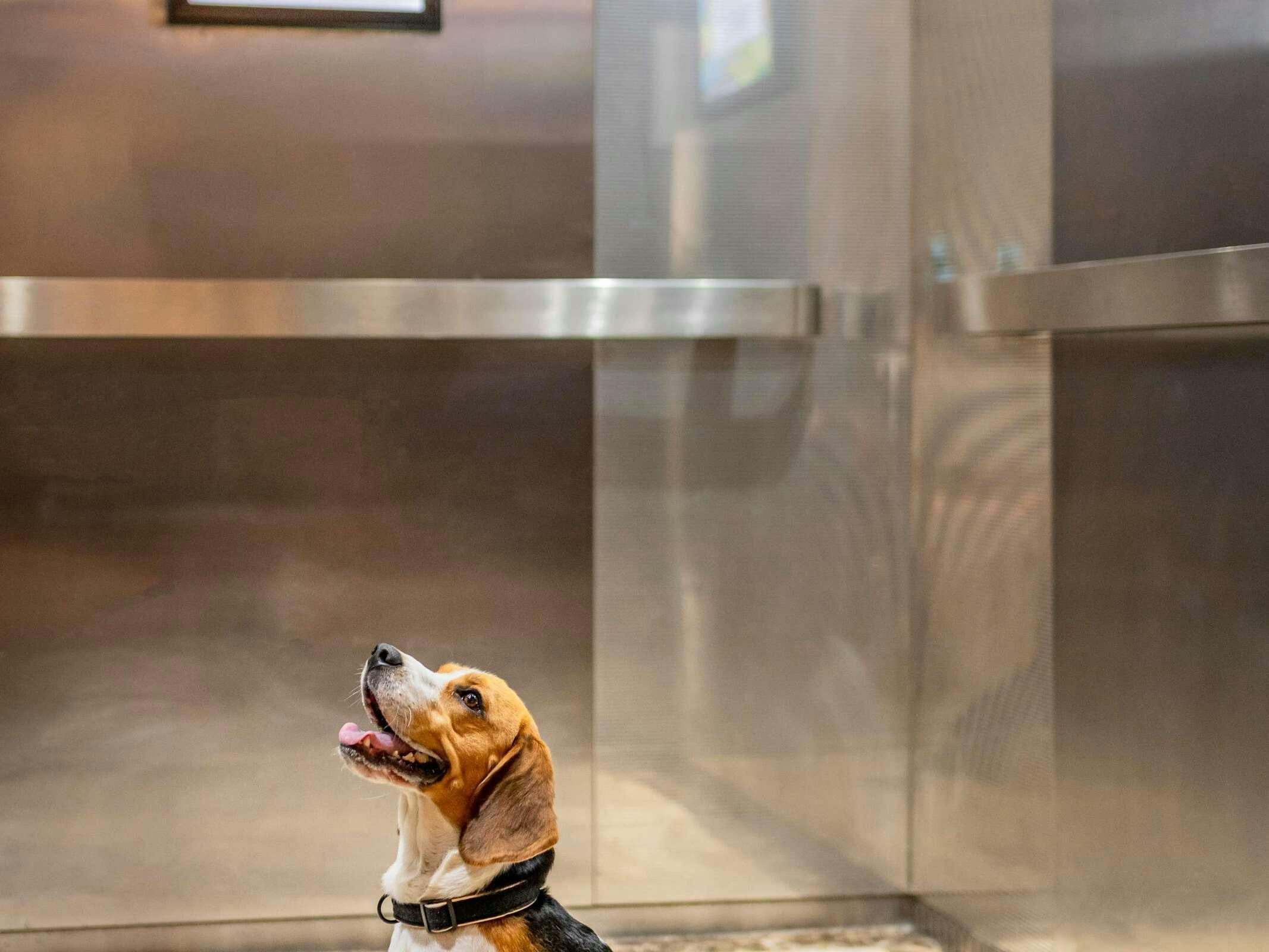 Hotel Ibis Madrid Norte Las Tablas (Apertura Junio 2025) photo 1