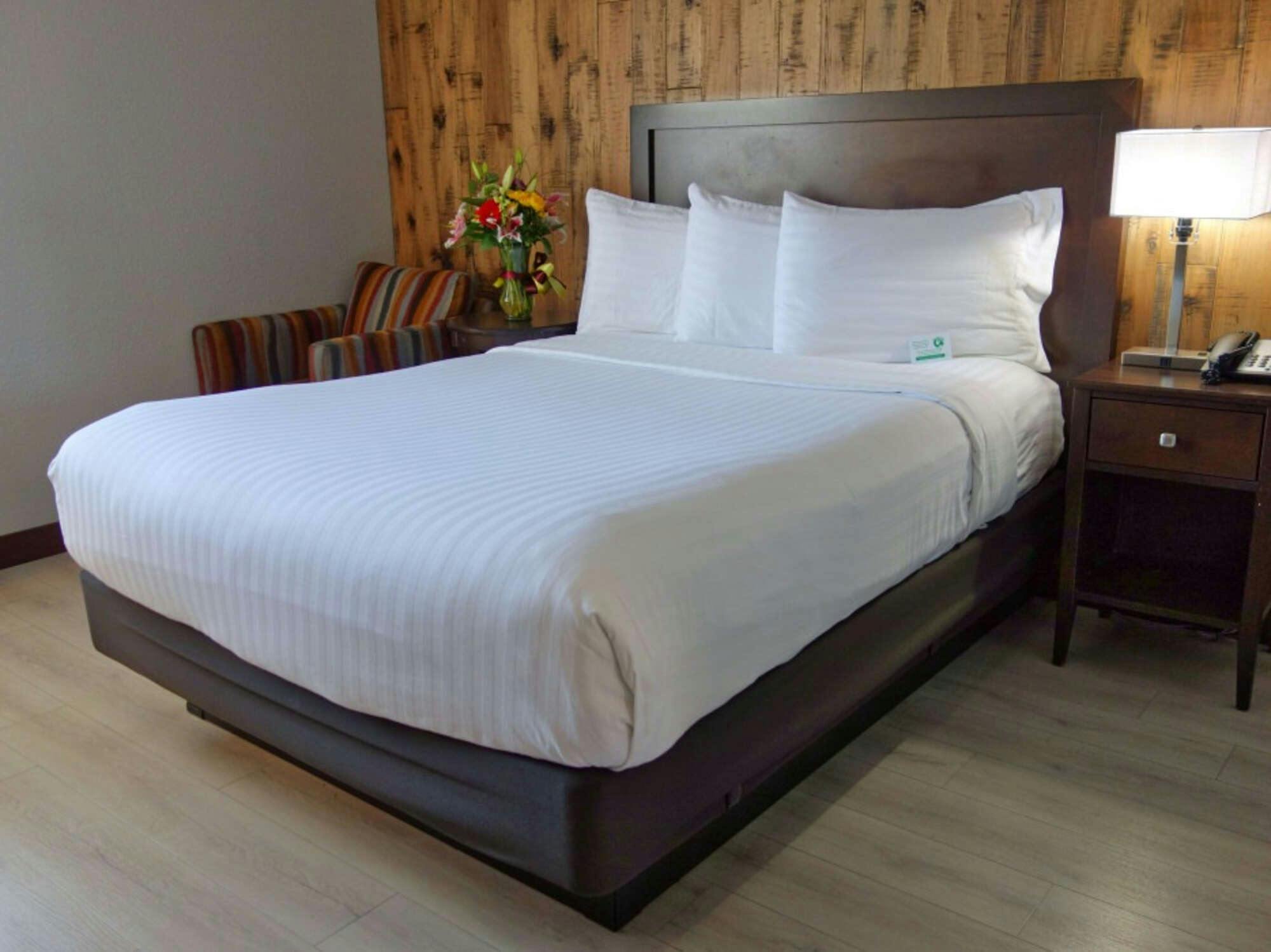 Hotel Mission Inn photo 1