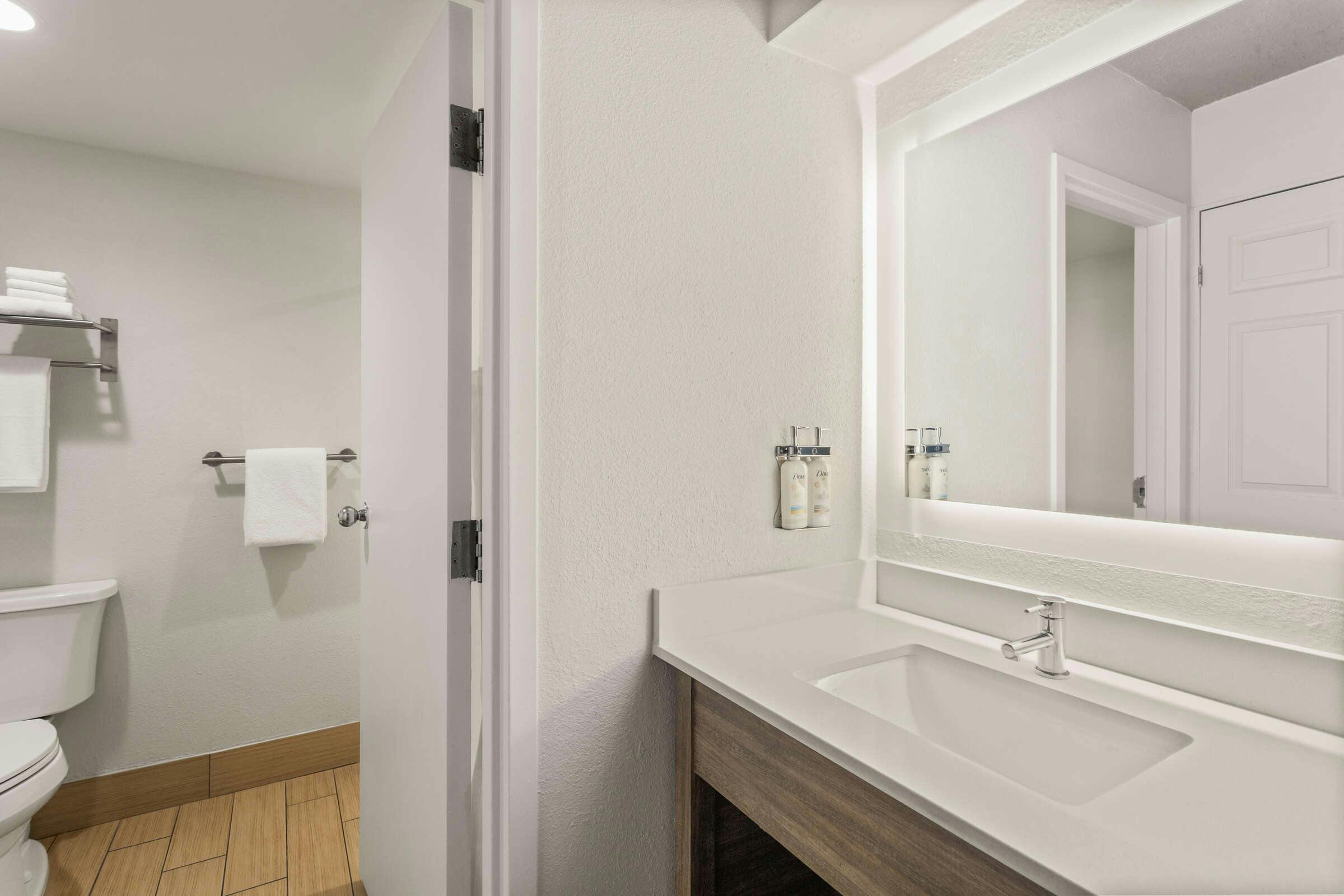 Hotel Holiday Inn Tampa Westshore Airport Area photo 5