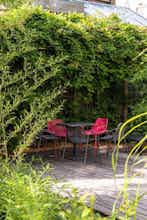 Hotel Conscious Hotel Museum Square photo 3
