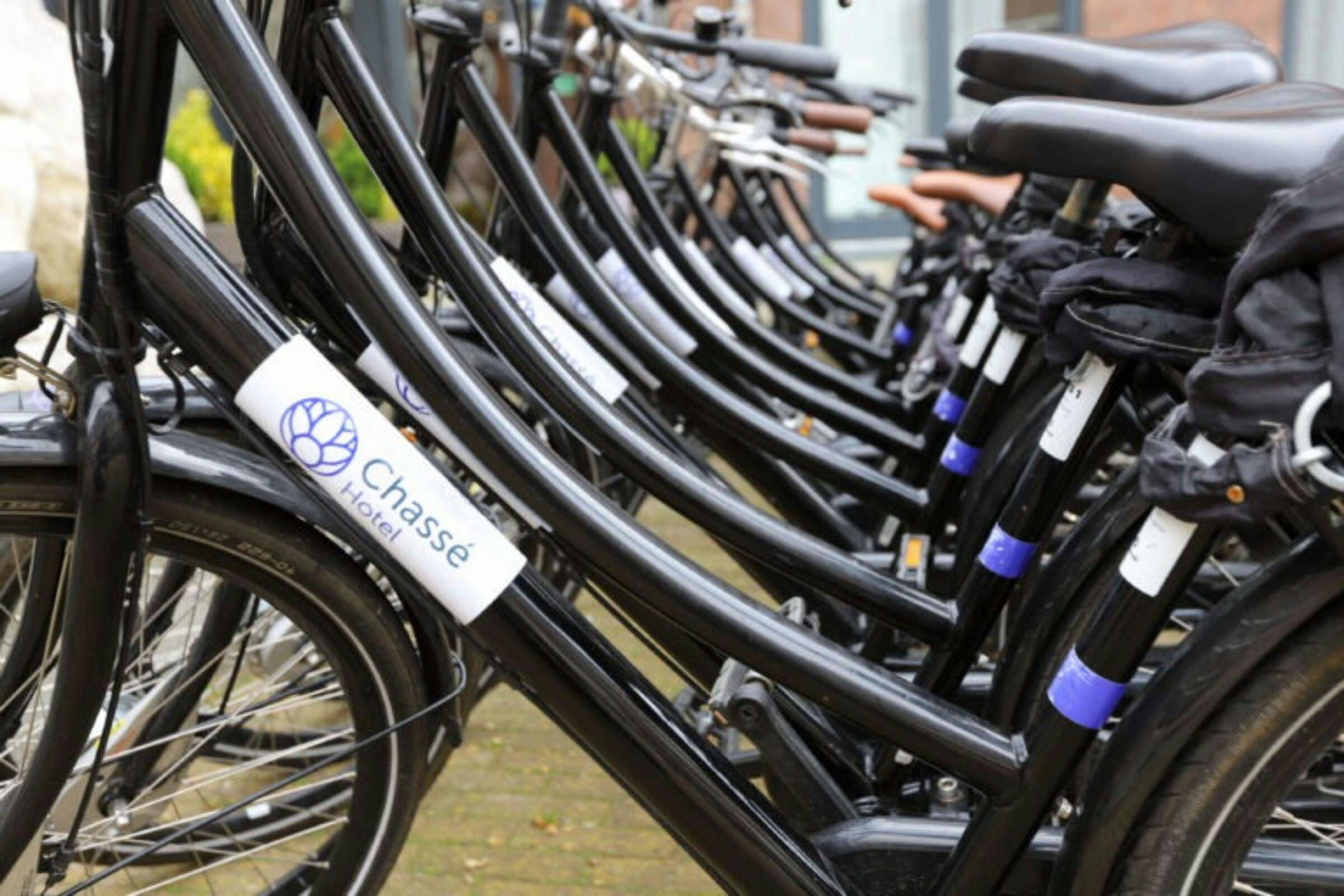 Hotel Chasse Hotel Residency photo 4