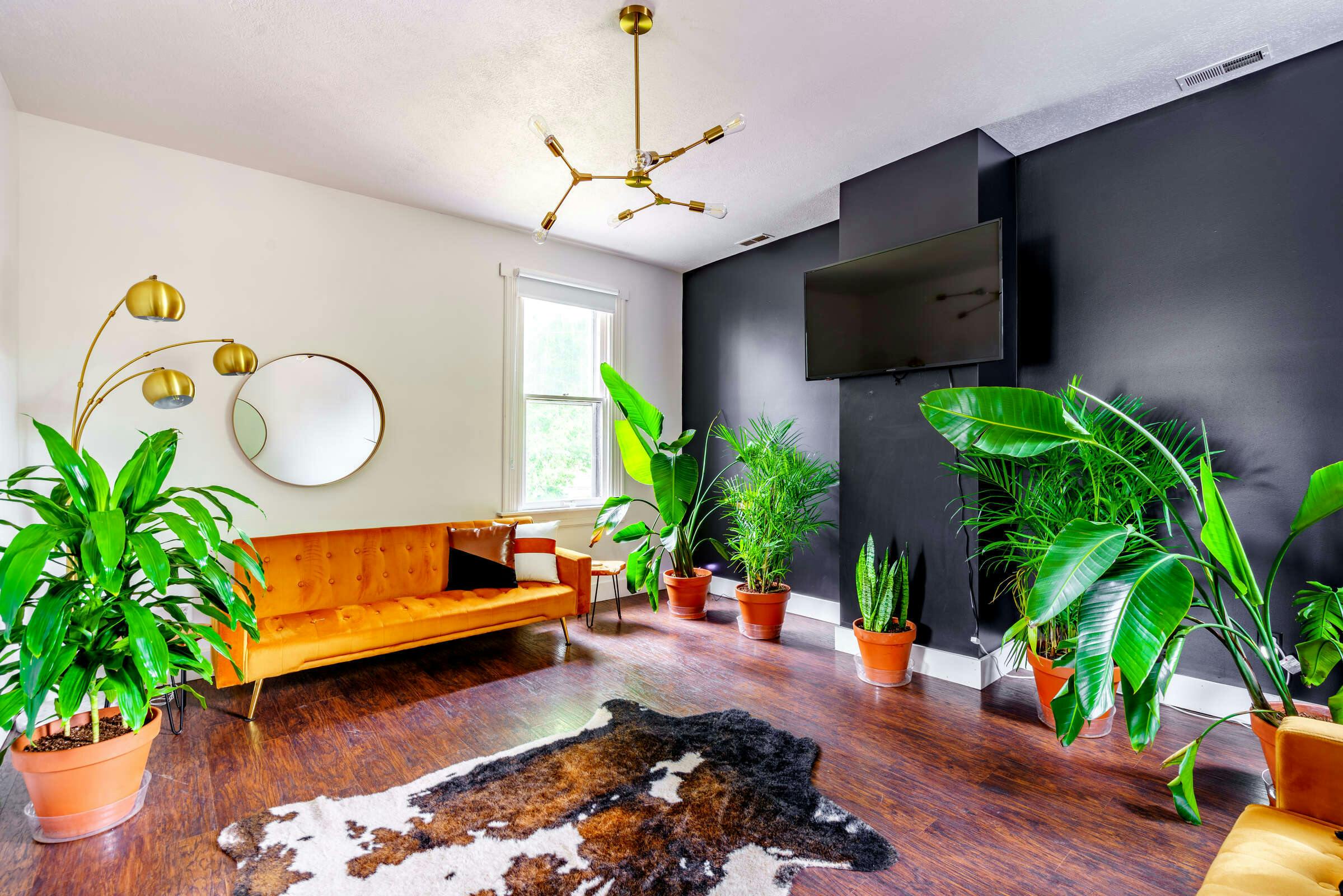 Jungle House Luxury Stays - Downtown Chillicothe