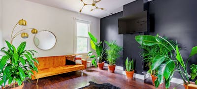 Jungle House Luxury Stays - Downtown Chillicothe