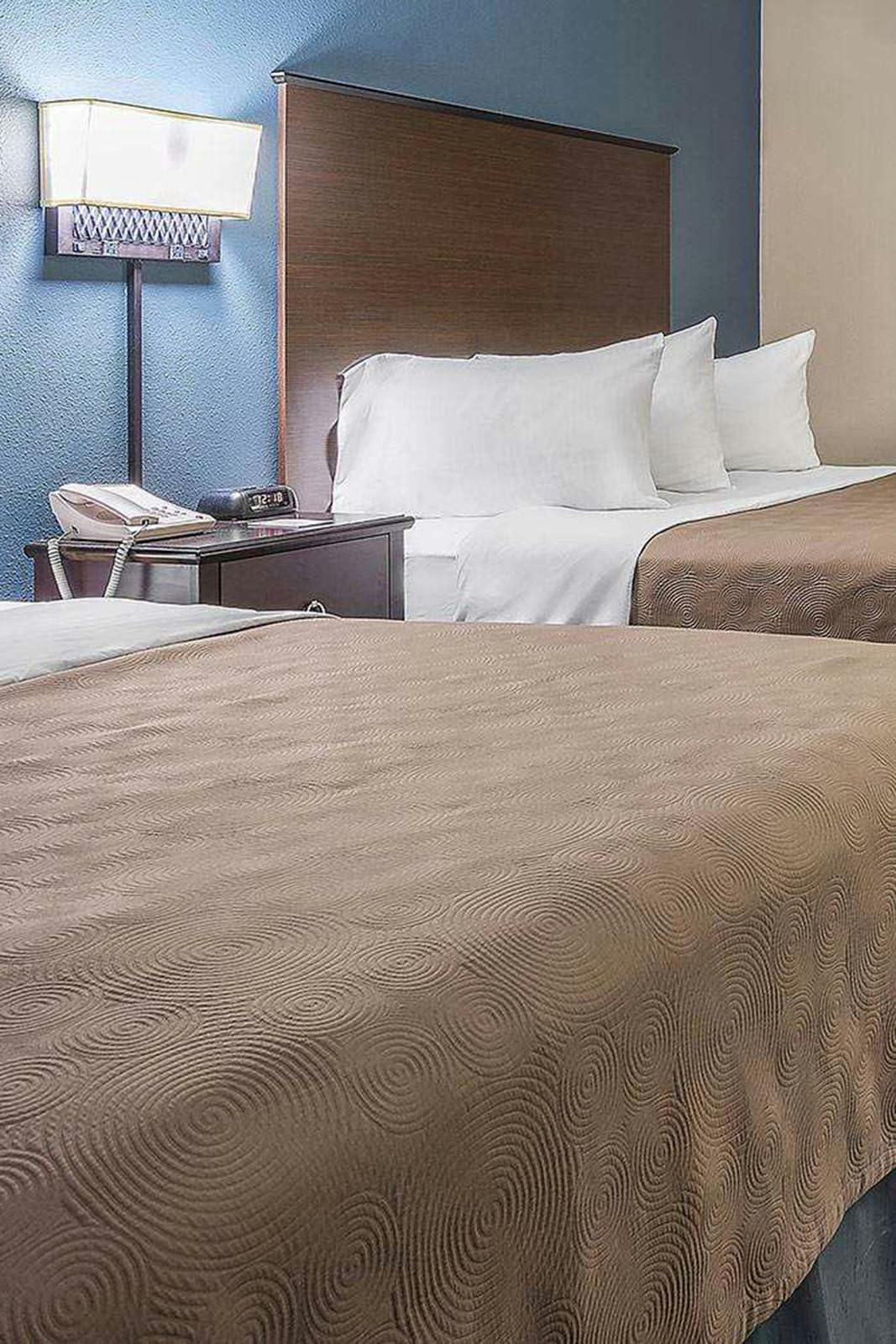 Hotel AmericInn by Wyndham Mounds View Minneapolis photo 3