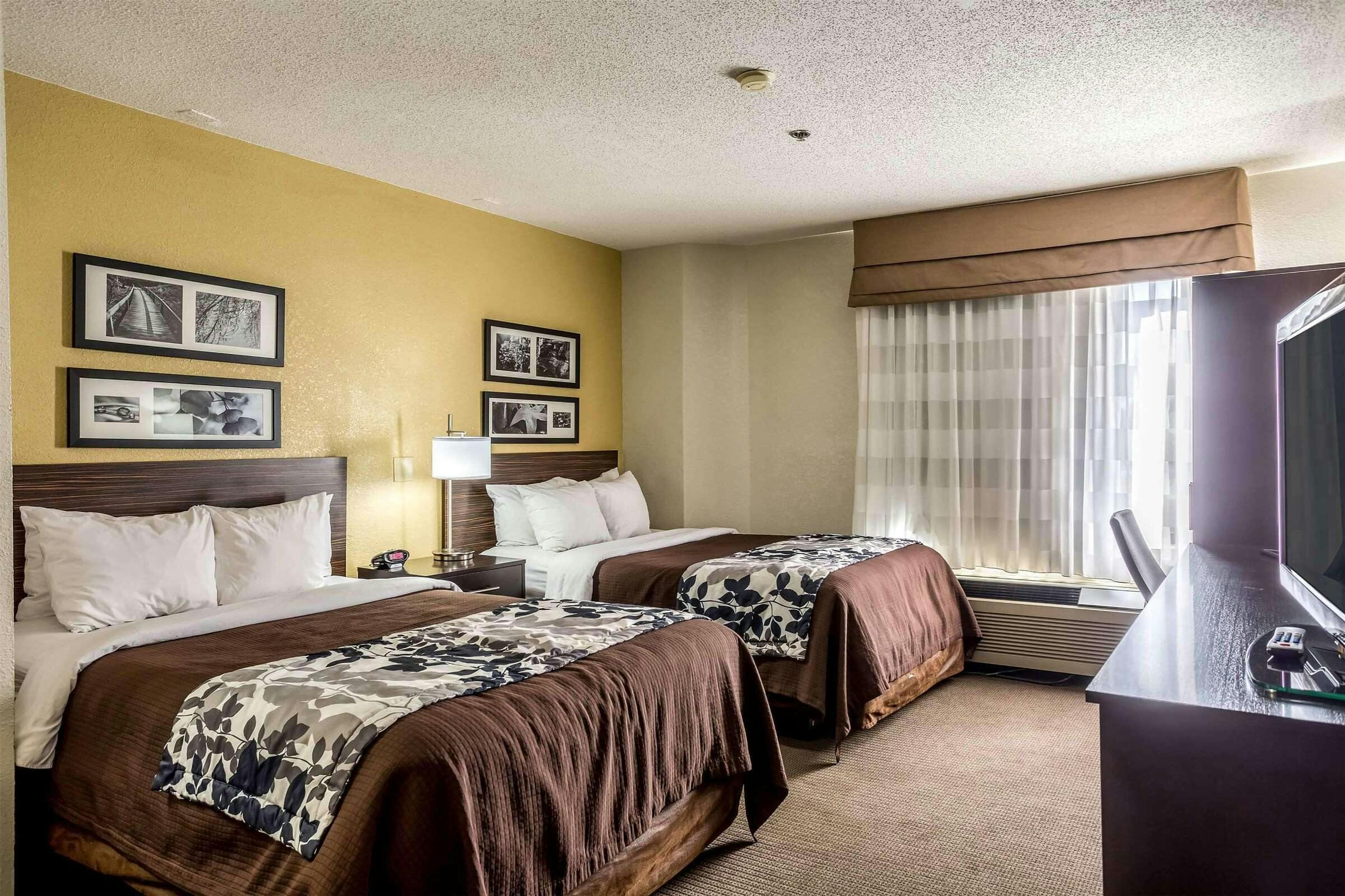 Hotel Wingate by Wyndham Owensboro photo 4