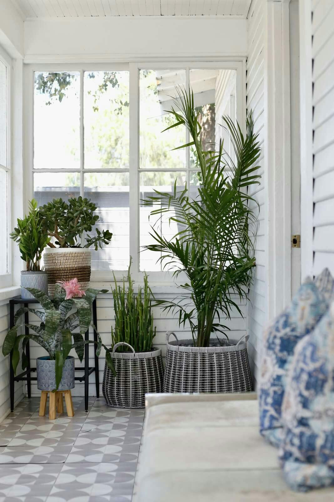 Hotel Aliza Hotel photo 2