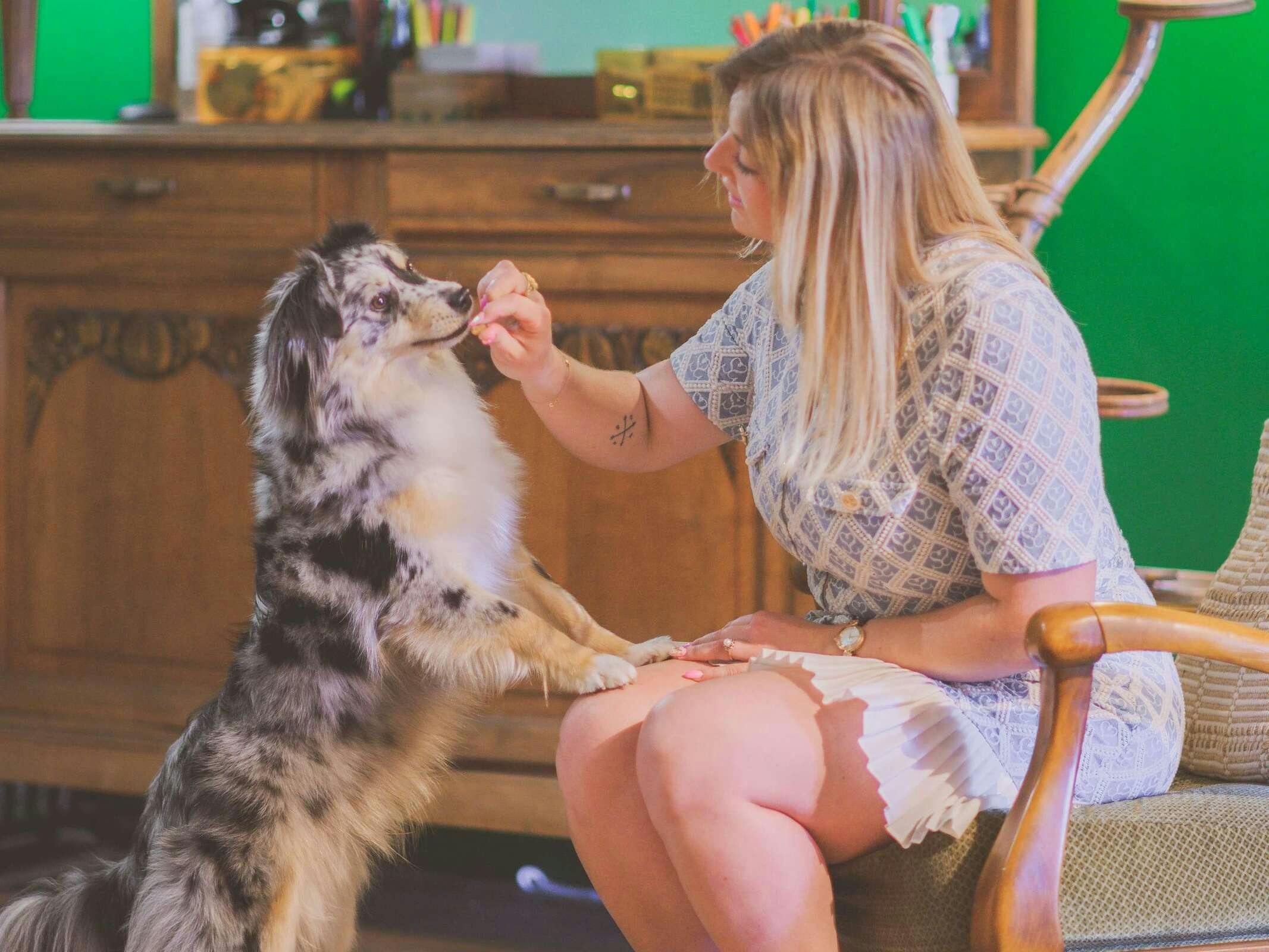 Hotel Greet Hotel Annecy Cran Gevrier photo 5