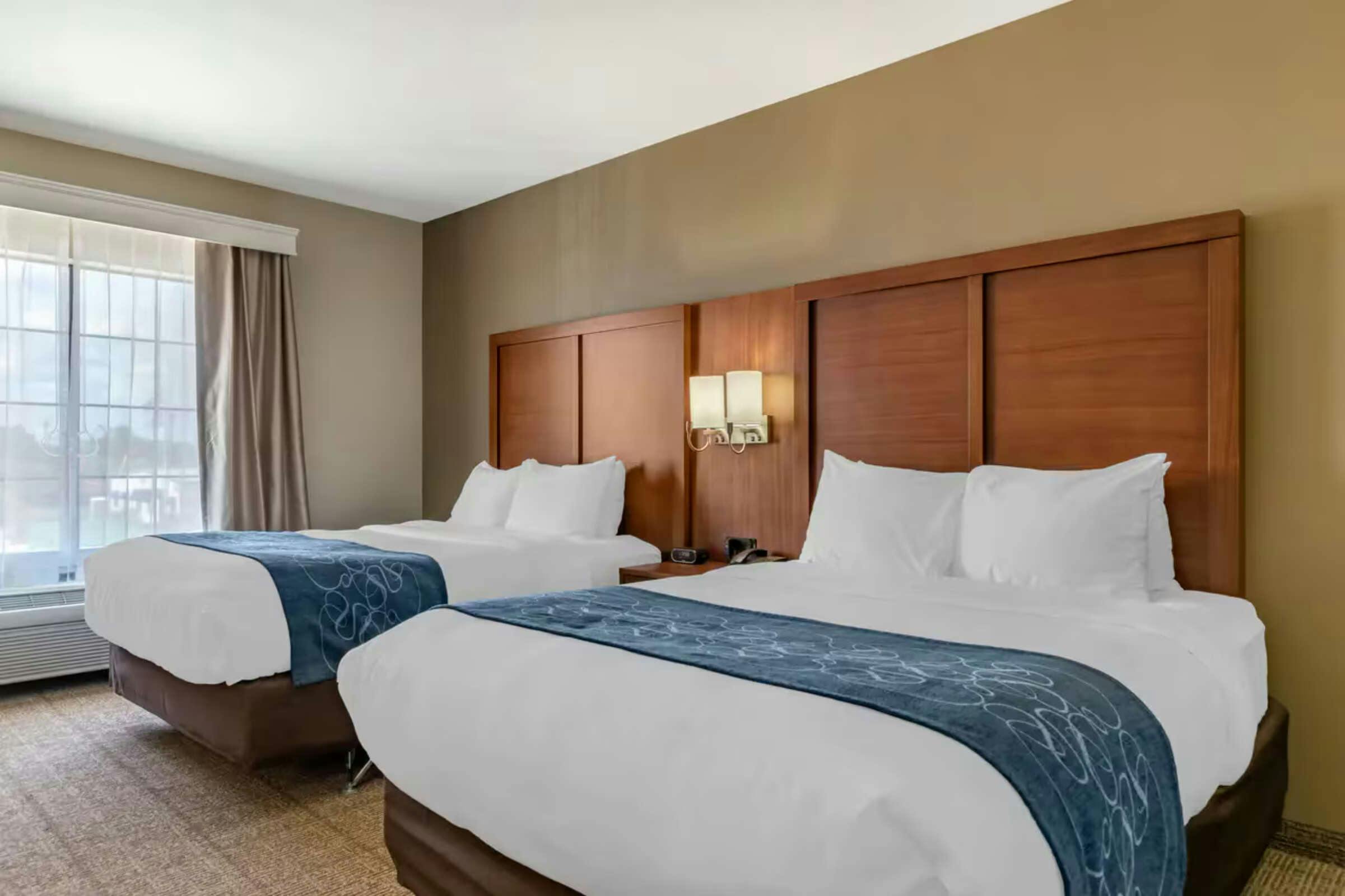 Hotel Comfort Suites Buda - Austin South photo 5