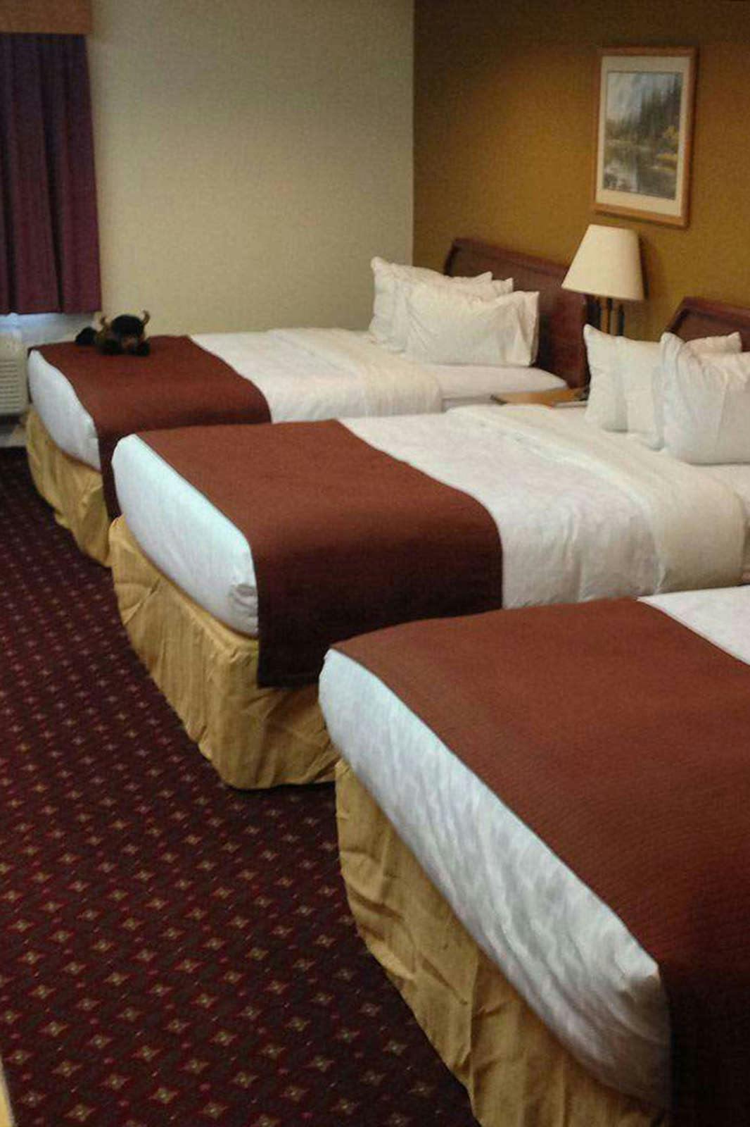 Hotel AmericInn by Wyndham Cody photo 3