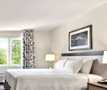 Comfort Inn Williamsburg Gateway Williamsburg Hoteltonight