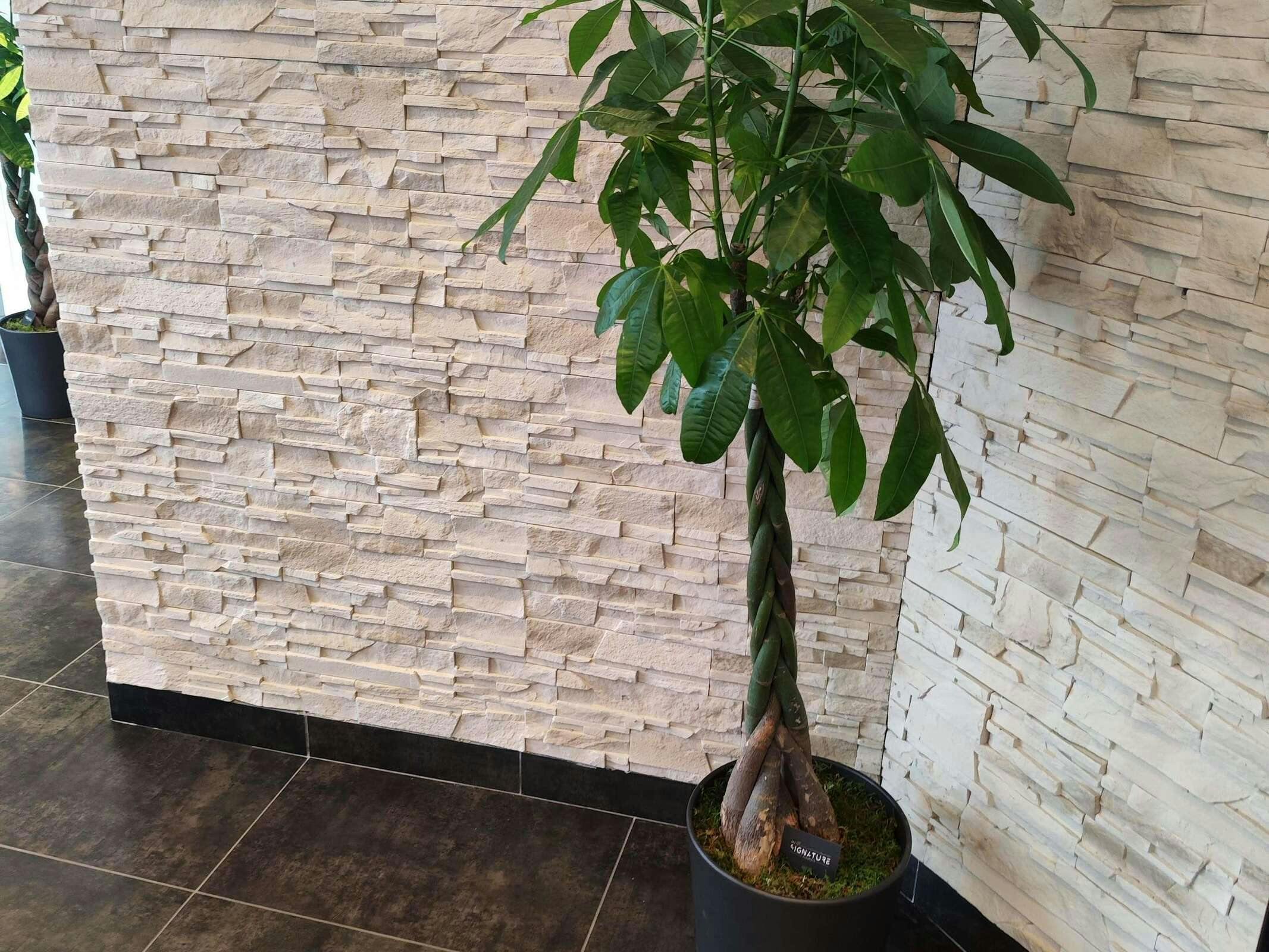 Hotel Ibis Styles Rennes Centre Gare Nord photo 1