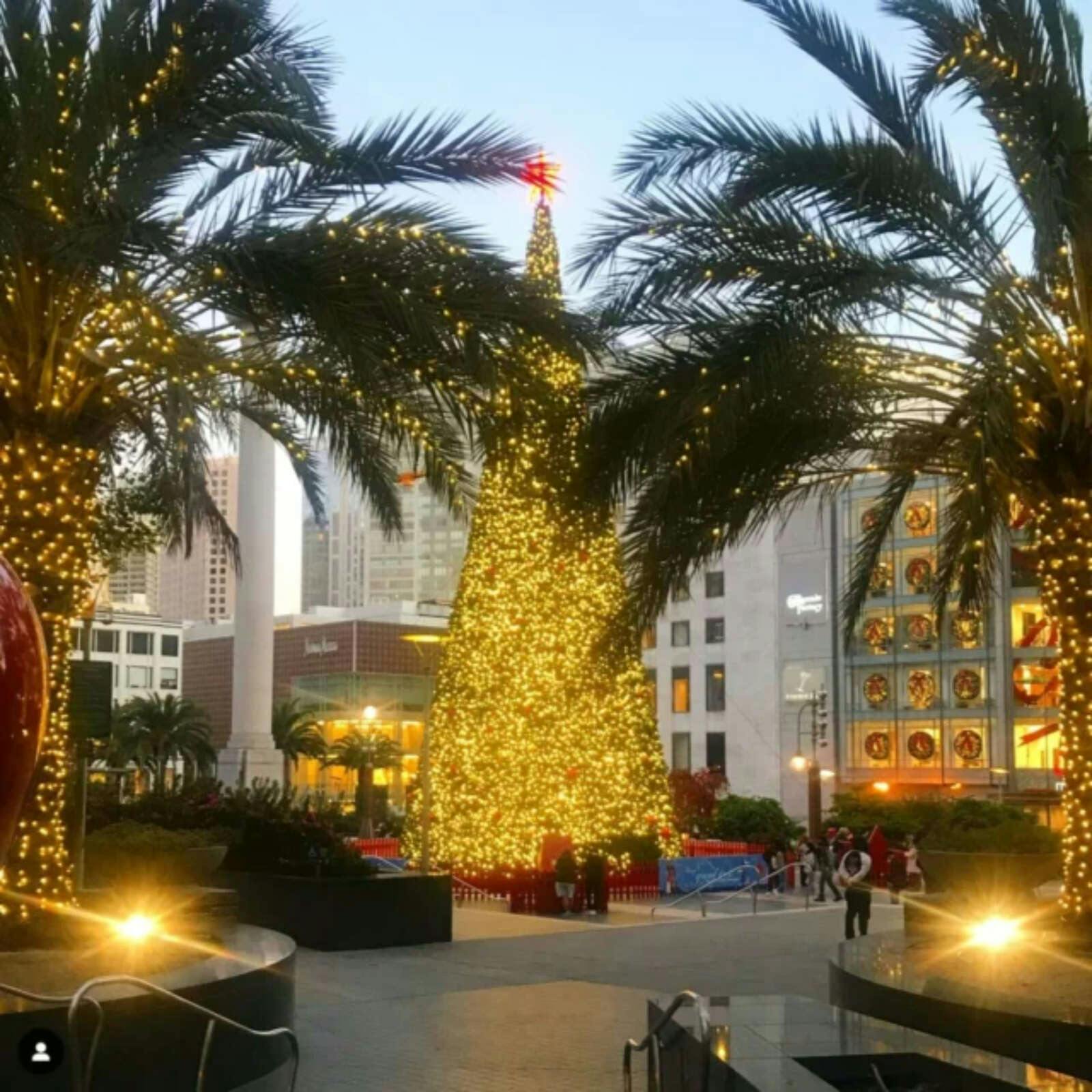 Hotel The Mosser photo 5