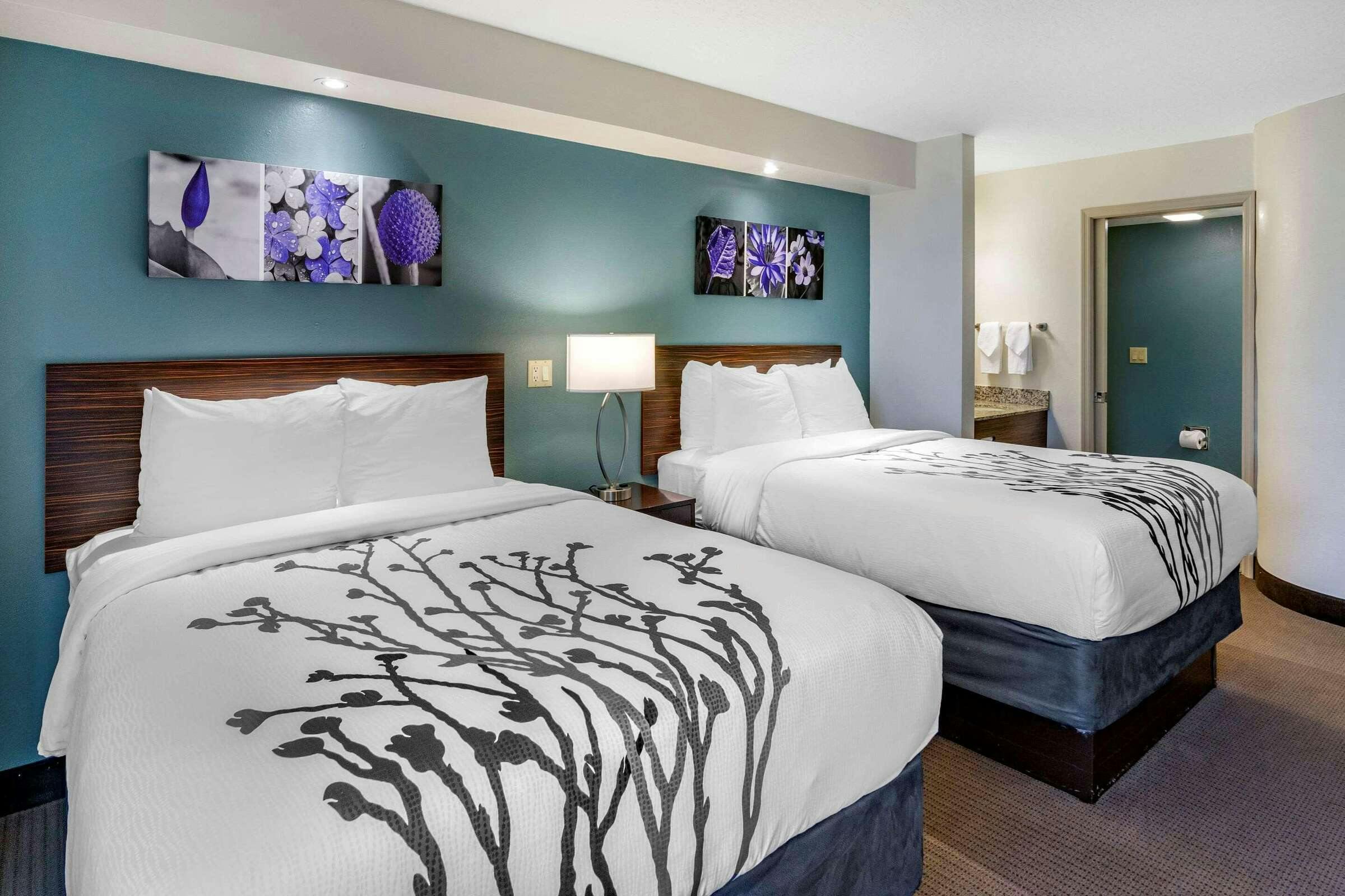 Hotel Sleep Inn Clearwater - St Petersburg photo 2