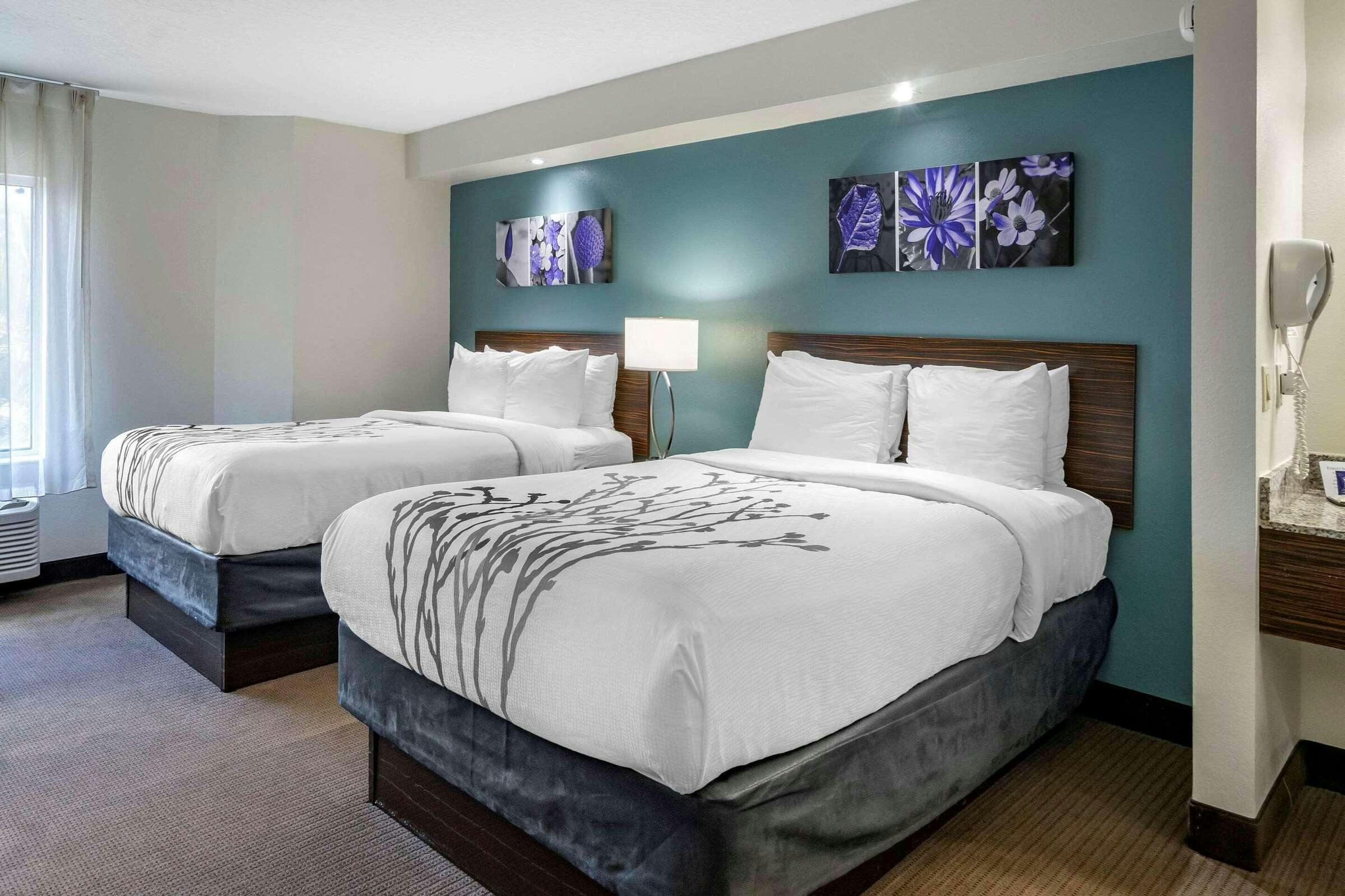 Hotel Sleep Inn Clearwater - St Petersburg photo 3