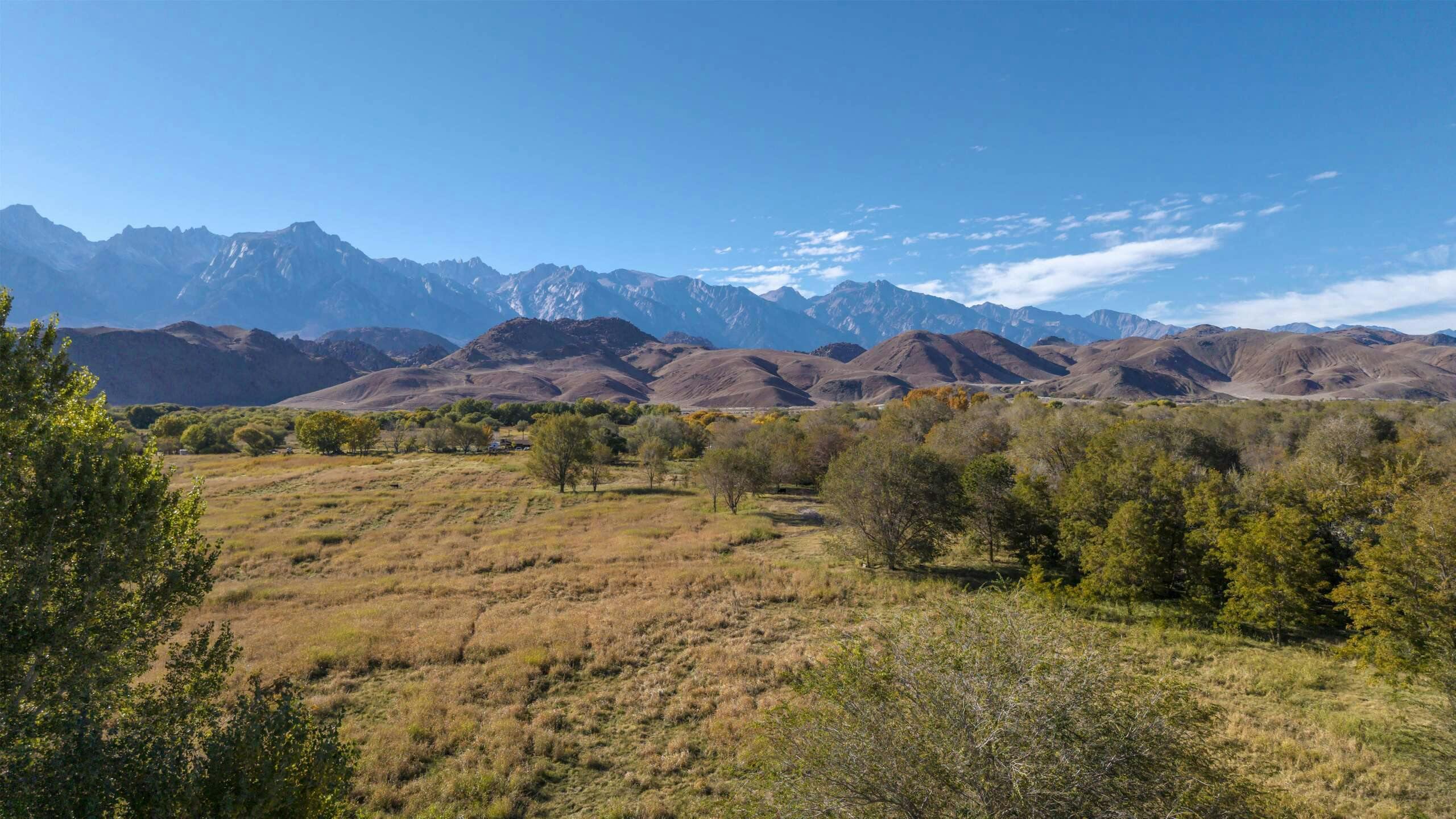 Hotel Best Western Plus Frontier Motel photo 4