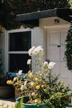 Hotel Laguna Cove Hotel photo 5