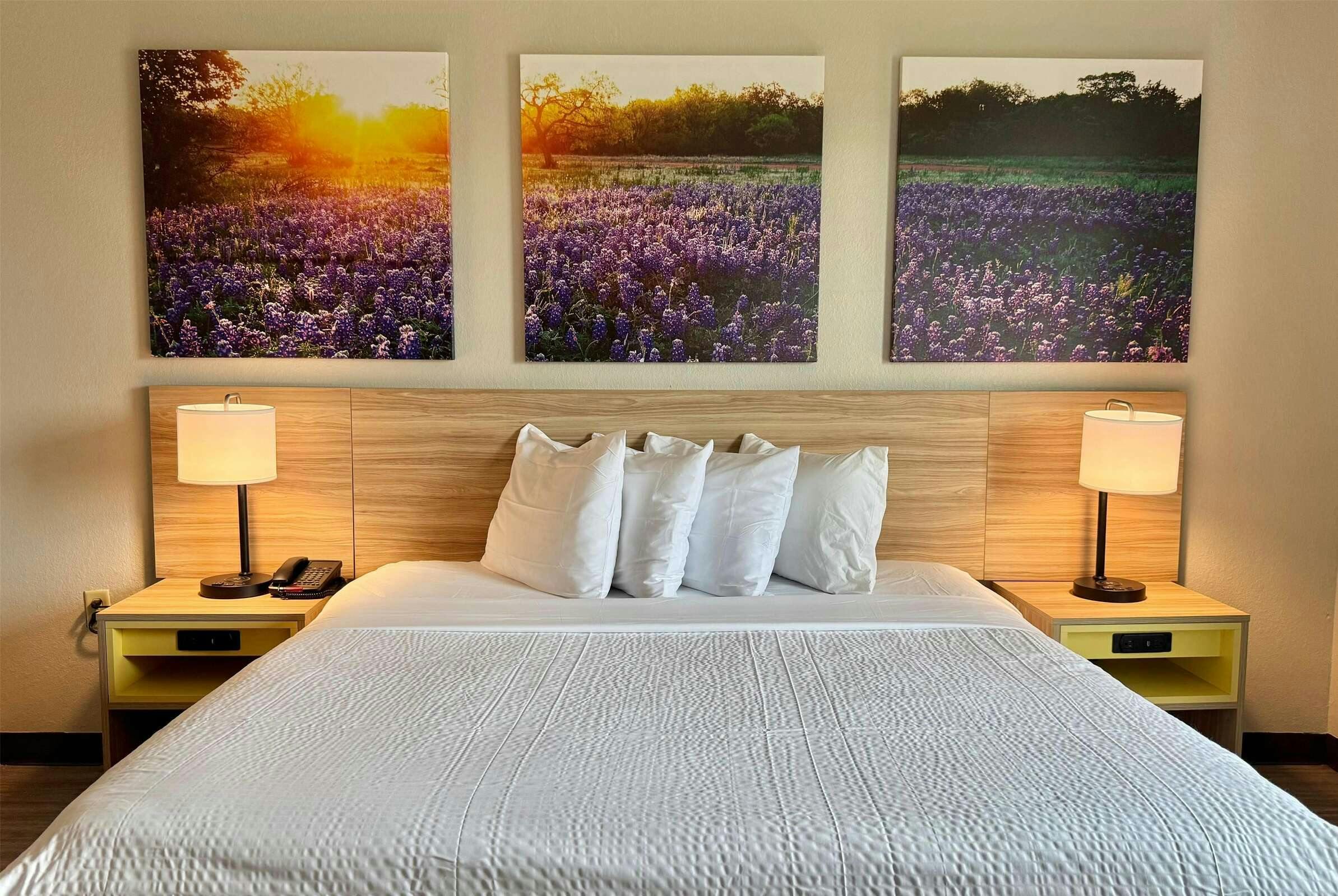 Hotel DI Houston / W Energy Corridor photo 3