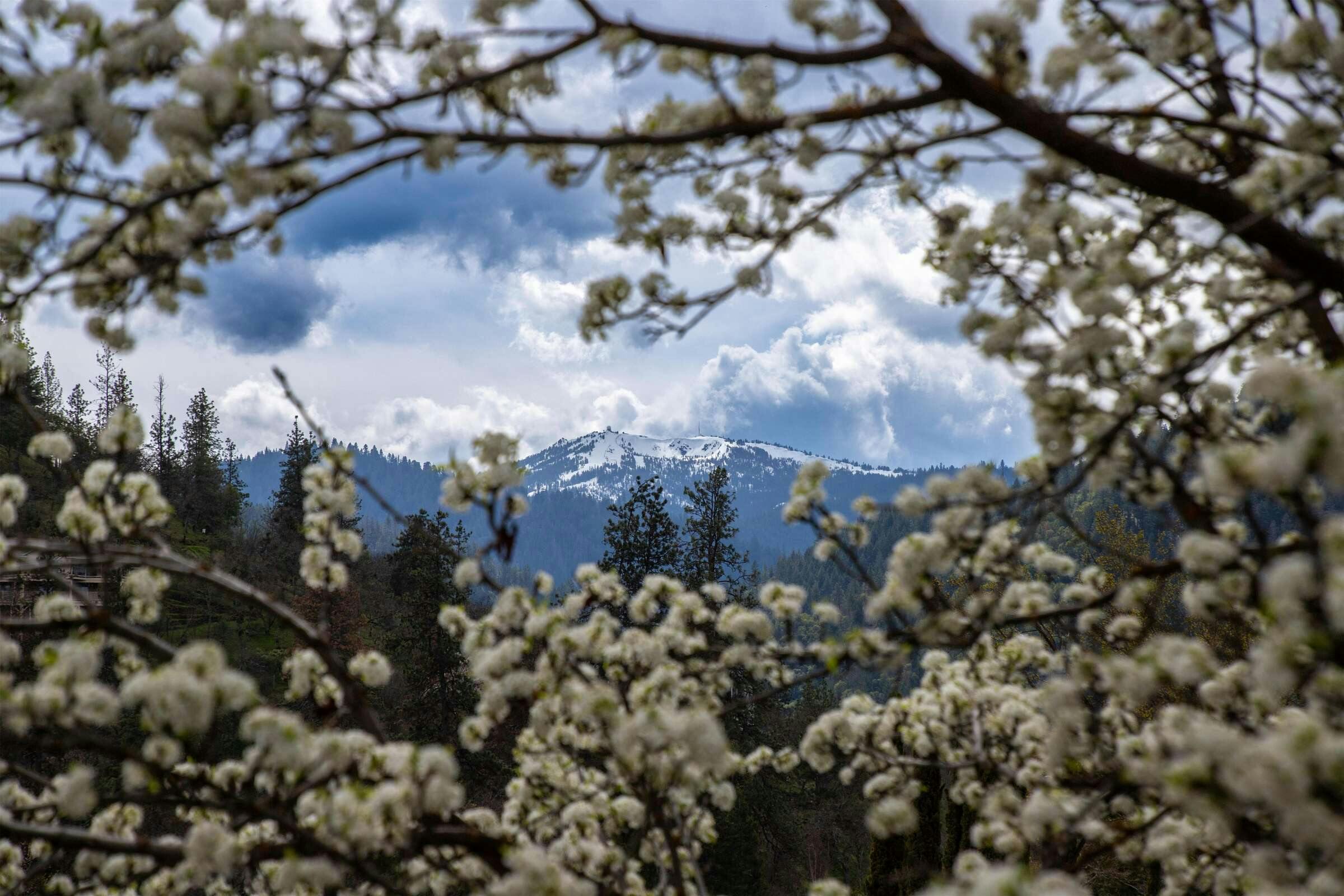 Hotel The Bard's Inn, Bw Signature Collection By Best Western photo 1