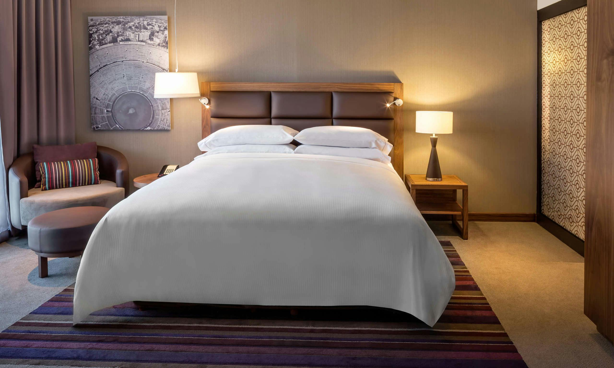 Fiesta Americana Toreo