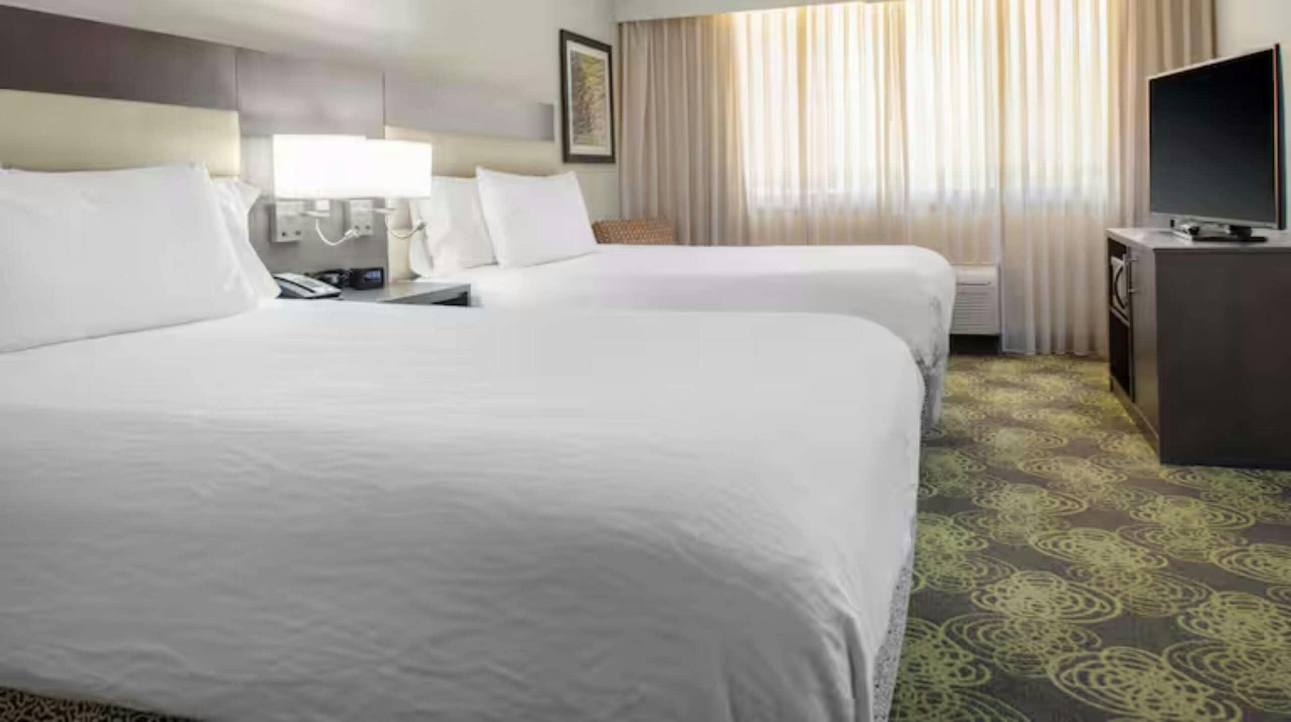 Hotel Hilton Garden Inn Reagan National Airport photo 2