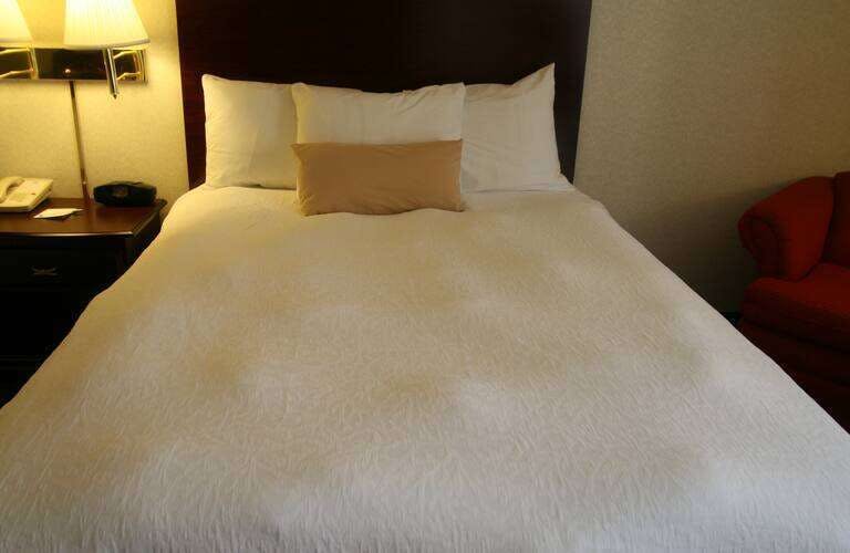 Hotel HAMPTON INN SELINSGROVE photo 4