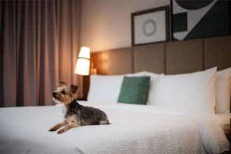 Hotel Staybridge Suites Chicago O'hare Airport photo 2