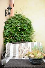 Hotel Capitola Hotel photo 4