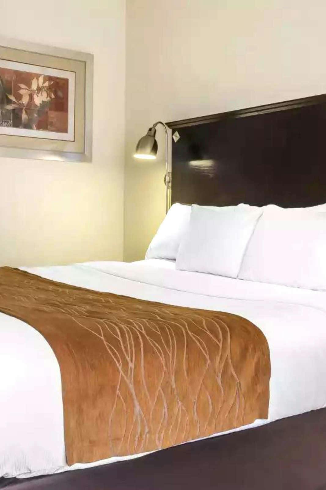 Hotel Comfort Inn & Suites LaGuardia Airport photo 1