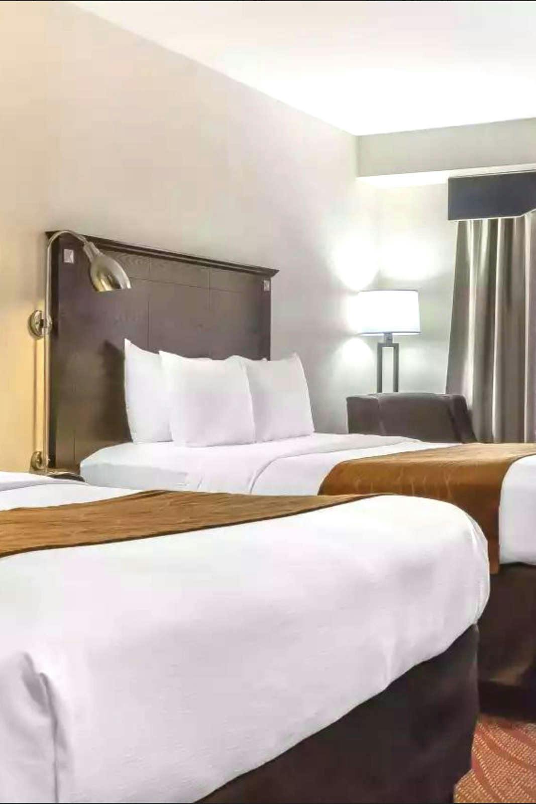 Hotel Comfort Inn & Suites LaGuardia Airport photo 2