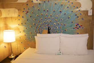 Hotel Hotel Des Arts photo 5