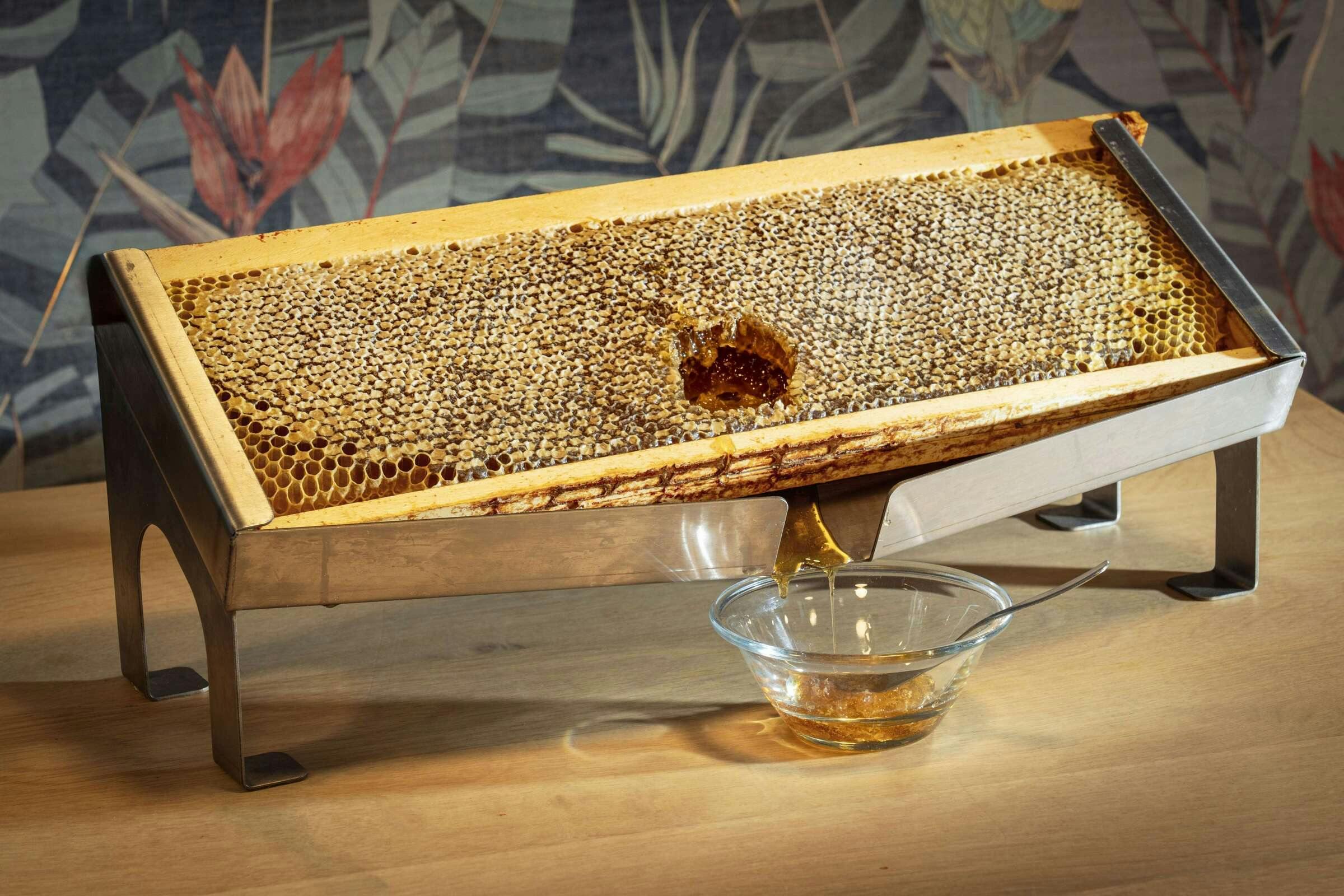 Hotel Best Western Plus Hotel de la Regate photo 4