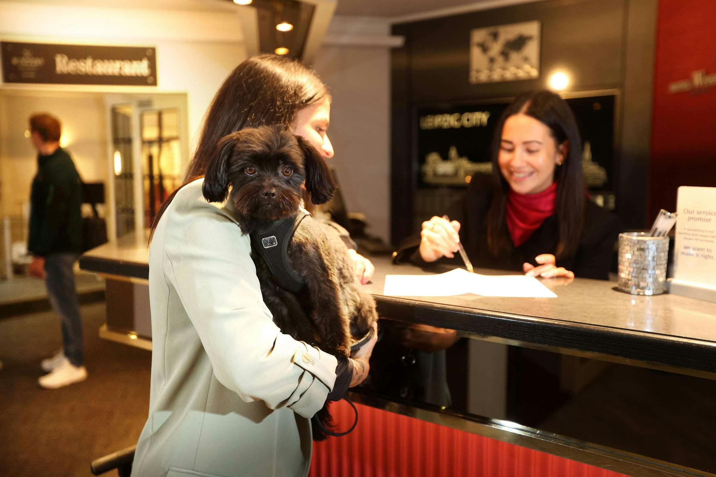 Hotel Best Western Hotel Windorf photo 1