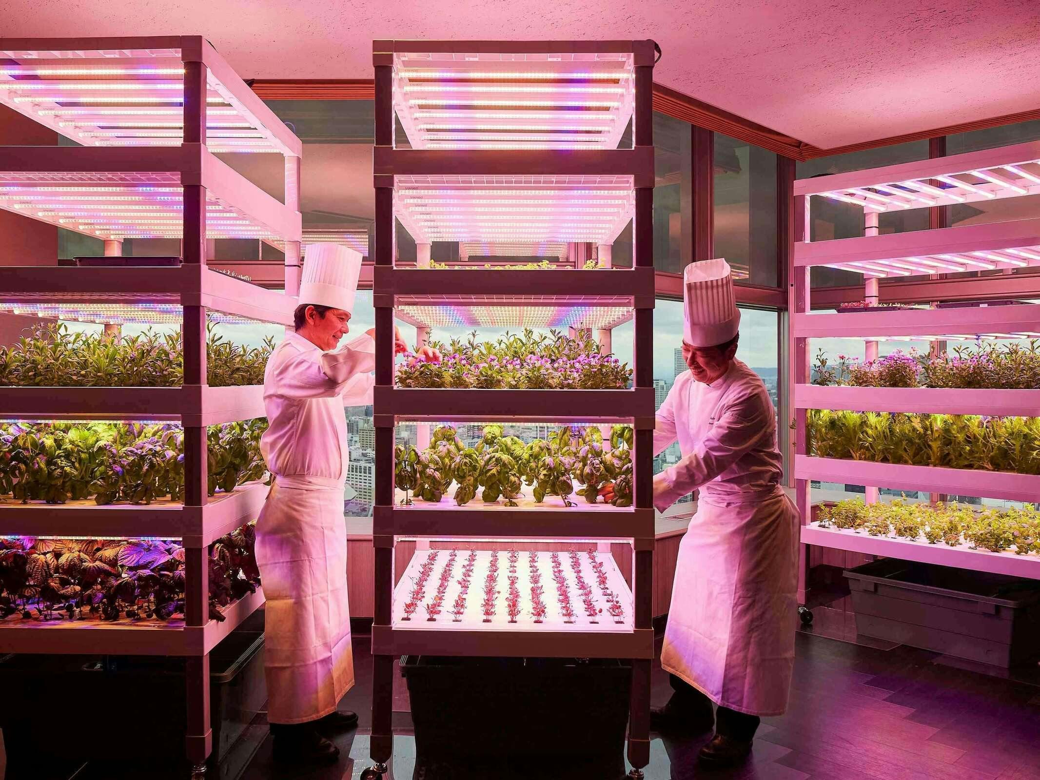 Hotel Swissôtel Nankai Osaka photo 2