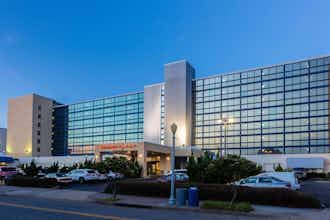Hotel Ramada Plaza by Wyndham Virginia Beach photo 3