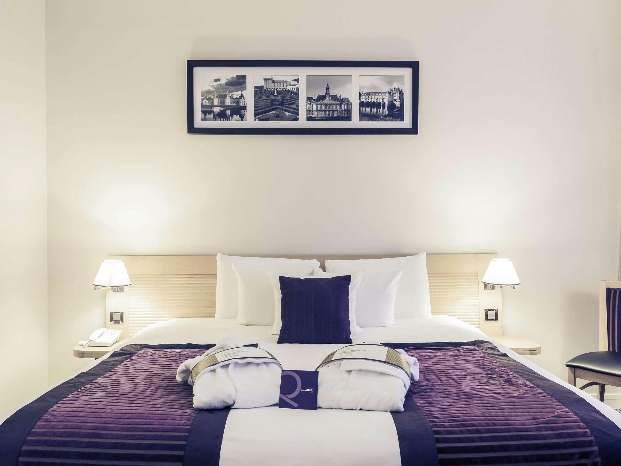 Hôtel Mercure Tours Centre Gare Et Congrès