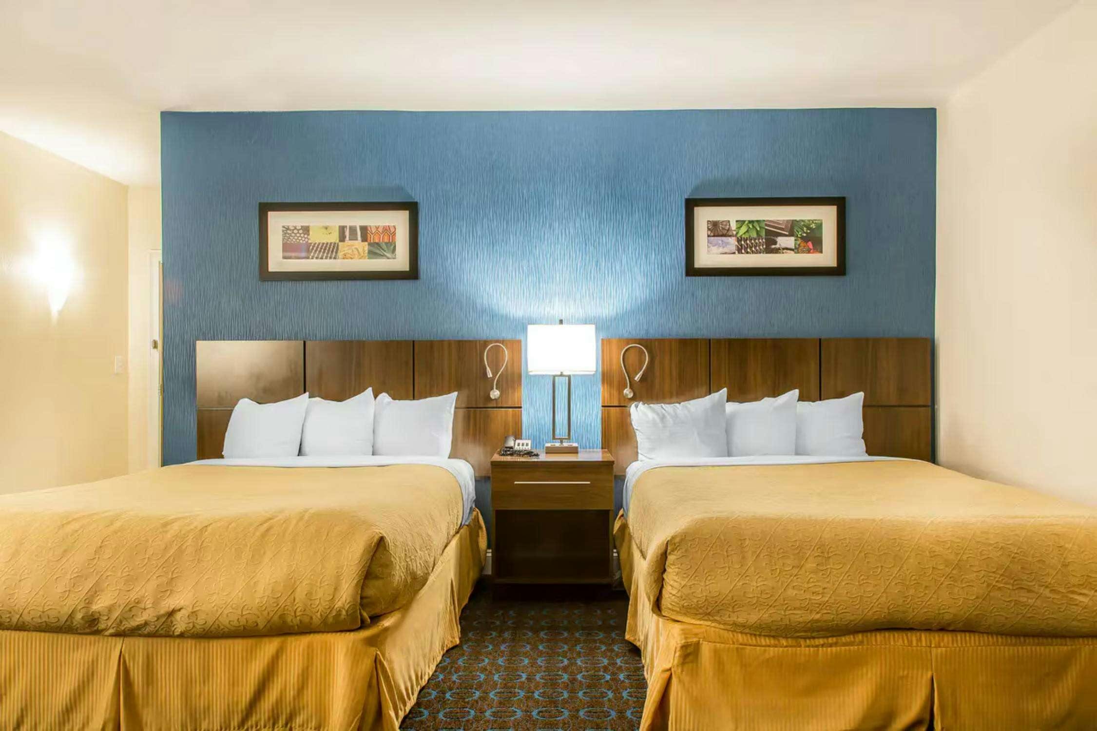 Hotel Quality Inn and Suites Middletown Newport photo 2