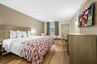 Hotel Red Roof Inn College Station photo 3