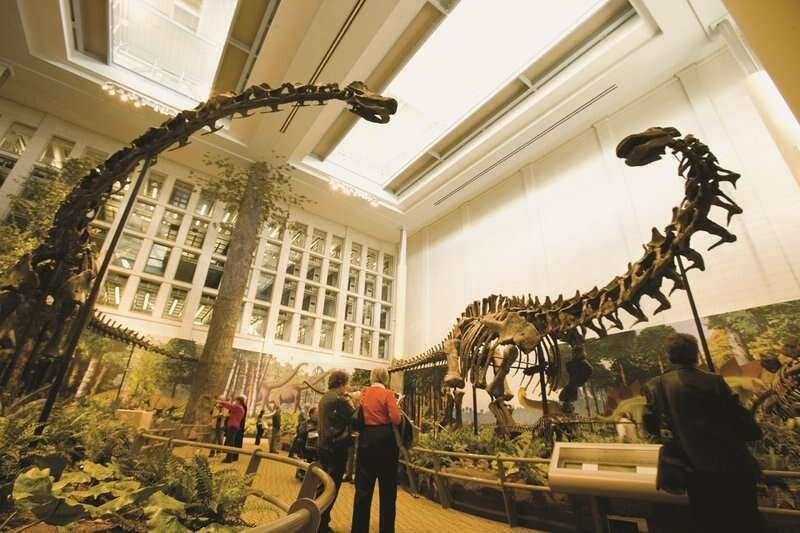 Hotel Hotel Indigo Pittsburgh University Oakland By Ihg photo 3